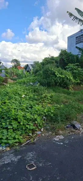 Tanah GLOBAL di Sedap Malam Kesiman