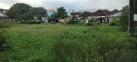 Tanah Pura Demak Denpasar Barat