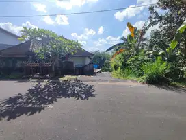 TANAH KOSONG SIAP BANGUN DI JALAN KAMBOJA - WERDIBHUWANA - MENGWI - BA