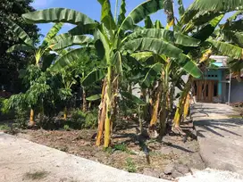 DIJUAL TANAH SEKITARAN JETIS BANTUL YGYA