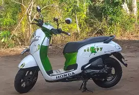Jual butu mau nika