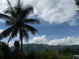 Di cari art yg bisa nginap atau pulang hari