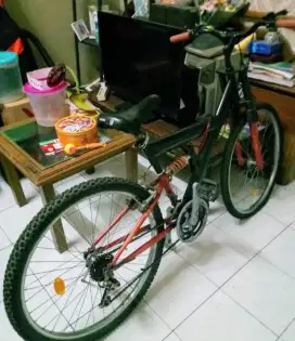 Sepeda Gunung Repaint.