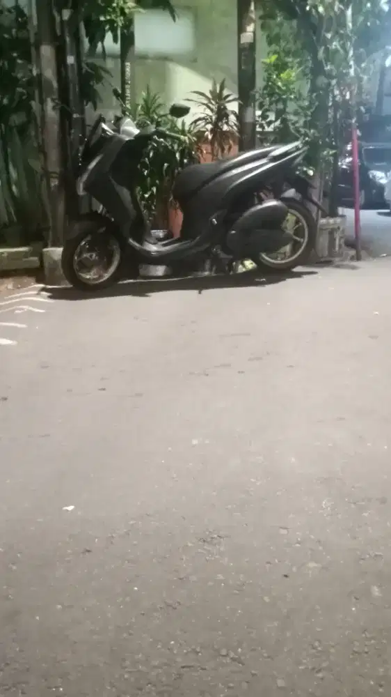 Lexi 2019 mesin enak