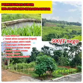 Perkebunan Subur Mojogedang Karanganyar