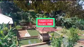 Jual rumah Filla flus 15 kolam ikannya