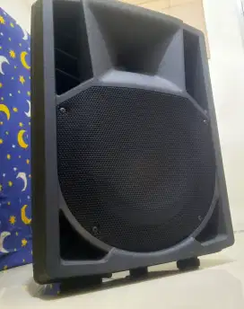 SPEKER AKTIVE 10 IN 200 WATT