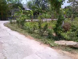 DIJUAL TANAH KAVLING LELANG  KEC KAPAS BOJONEGORO