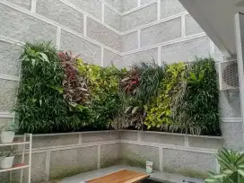 Vertical garden - taman vertical garden