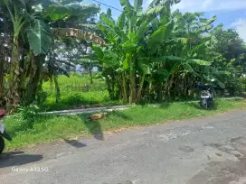 Di jual tanah sawah murah