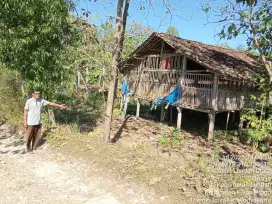 Jual tanah di lendah bonus Kandang ayam