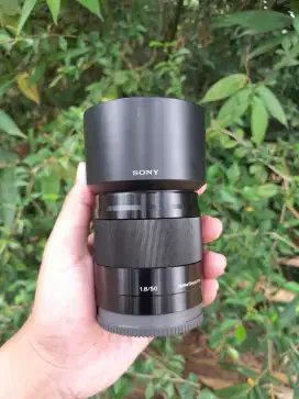 Lensa sony e 50 mm f1.8 oss muluss