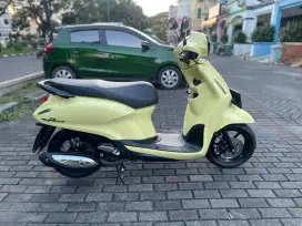 GRAND FILANO 2024 (ISTIMEWA)