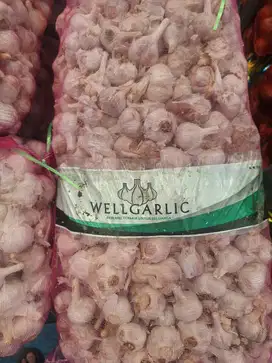 JUAL BAWANG PUTIH DAN BOMBAY