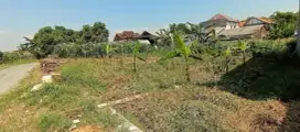 Di sewakan lahan kosong