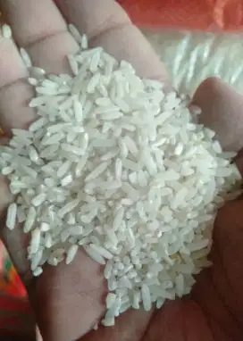 Jual Beras murah