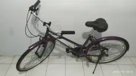 Sepeda jadul Polygon