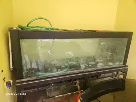 Aquarium Ikan hias