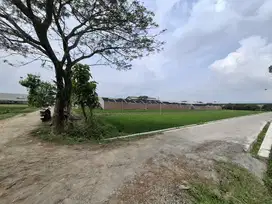 Tanah zona kuning area solobaru