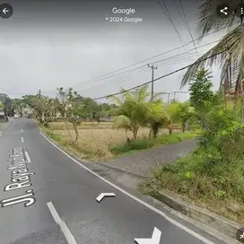 Di Sewa, Tanah di jalan raya sentral Ubud akses jalan 8 meter