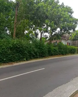 Kami Tawarkan Tanah Nempel jalan Raya  Gunungpati cepoko jatirejo Sema