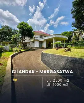 Dijual Murah Rumah Margasatwa Raya, Jakarta Rumah luas classic mewah