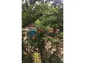 Dijual Tanah Kebun di Sentul, Bogor 2.400m2 SHM