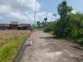 Tanah Murah Los Sungai Nyitdah Kedunggu Bali