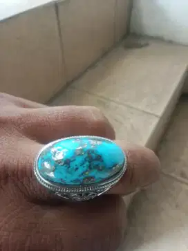 Baru pirus badar persia