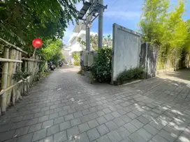 TANAH UKURAN KECIL LANGKA DI PANTAI MERTASARI, SANUR - BALI