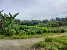 Tanah Kavling Dramaga Bogor Dekat IPB Dranaga – Akses Mobil, SHM, Bis