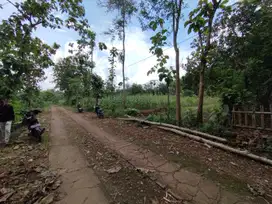 Tanah pekarangan dengan luas 600m di semanu