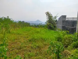 Tanah Sumbersekar Dekat Pondok Ar Rohmah Putra