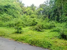 Tanah 150 Juta 600 Meter GOR Pangukan
