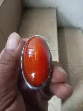 Batu pandang merah betok