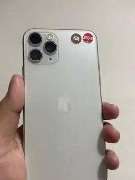 11 Pro 256 Allprov