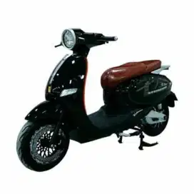 MOTOR LISTRIK UWINFLY T5