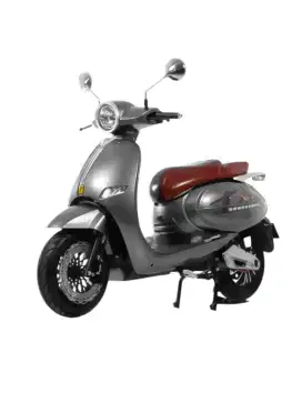 MOTOR LISTRIK UWINFLY T5