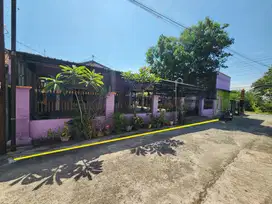 Rumah Murah Halaman Luas di Ngringo Palur