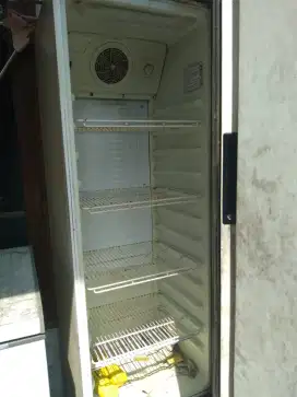 Showxase 280 ltr polytron