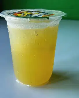 DICARI KARYAWATI