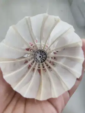 Shuttlecock Domas