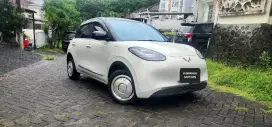 WULING BINGUO 410 PREMIUM RANGE 2024
