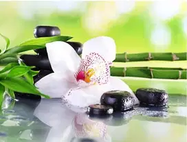 Receptionist SPA