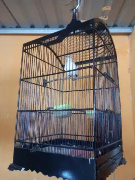 Jual sangkar burung