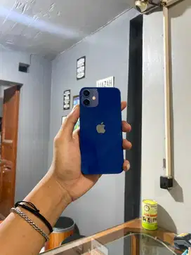 iPhone 12 Mini 64Gb allop