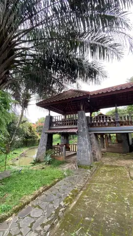 DIJUAL TANAH SHM LUAS 3200 m²