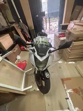 Kawasaki 250 mono 2019