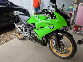 Ninja RR 2013 New murmer