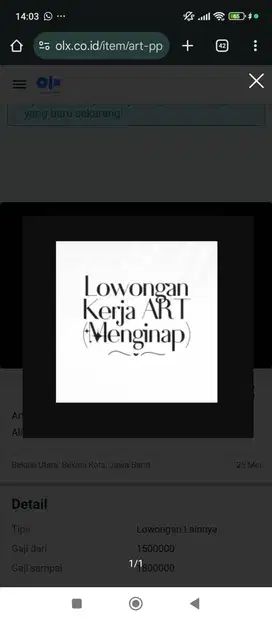ART Serabutan dan Momong (Bisa PP) Lokasi Alinda, Bekasi Utara.